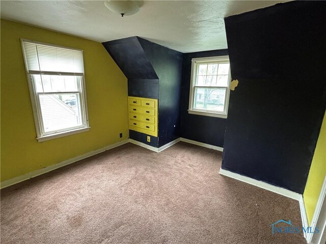 bonus room with carpet floors and baseboards
