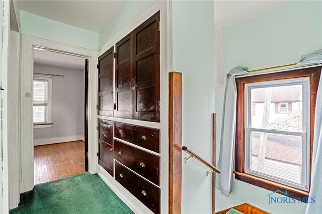 hall with baseboards and carpet floors