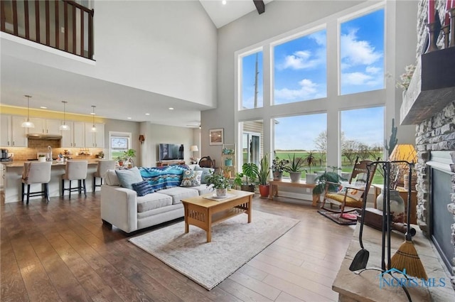 living area featuring a high ceiling and dark wood-style flooring