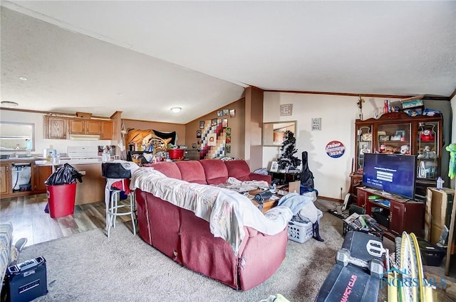 17341 Rd 139, Cecil, OH 45821 - living area featuring vaulted ceiling, ornamental molding, and wood finished floors