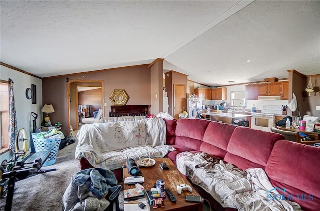 17341 Rd 139, Cecil, OH 45821 - living area with lofted ceiling, carpet floors, a textured ceiling, and ornamental molding