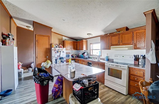 17341 Rd 139, Cecil, OH 45821 - kitchen with a textured ceiling, lofted ceiling, white appliances, brown cabinetry, and under cabinet range hood