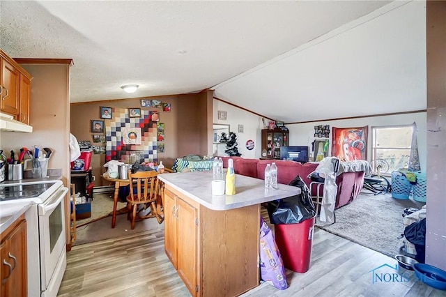 17341 Rd 139, Cecil, OH 45821 - kitchen with light wood-style flooring, vaulted ceiling, light countertops, a kitchen island, and white range with electric stovetop