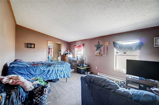 17341 Rd 139, Cecil, OH 45821 - carpeted bedroom featuring lofted ceiling, a textured ceiling, and ornamental molding