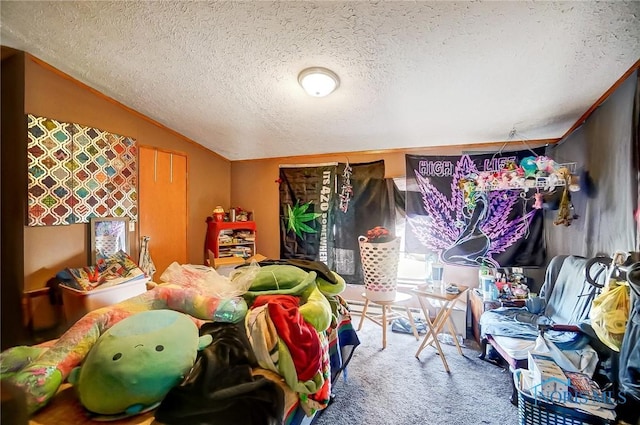 17341 Rd 139, Cecil, OH 45821 - carpeted bedroom featuring lofted ceiling, multiple windows, and a textured ceiling