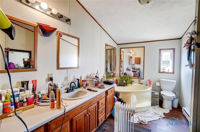 17341 Rd 139, Cecil, OH 45821 - bathroom with toilet, crown molding, a garden tub, vanity, and a baseboard radiator