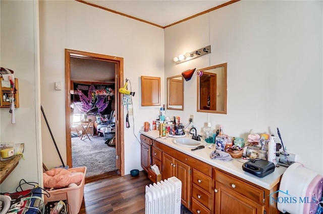 17341 Rd 139, Cecil, OH 45821 - bathroom featuring wood finished floors, vanity, and ornamental molding