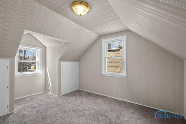 additional living space with vaulted ceiling, carpet, and a wealth of natural light