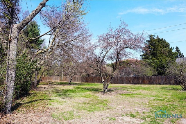 view of yard with fence