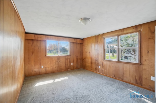 402 S 5th St, Continental, OH 45831 - carpeted empty room featuring wooden walls and a healthy amount of sunlight