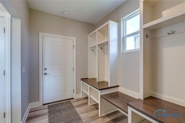 1007 Stoneleigh Rd, Perrysburg, OH 43551 - mudroom with light wood finished floors and baseboards