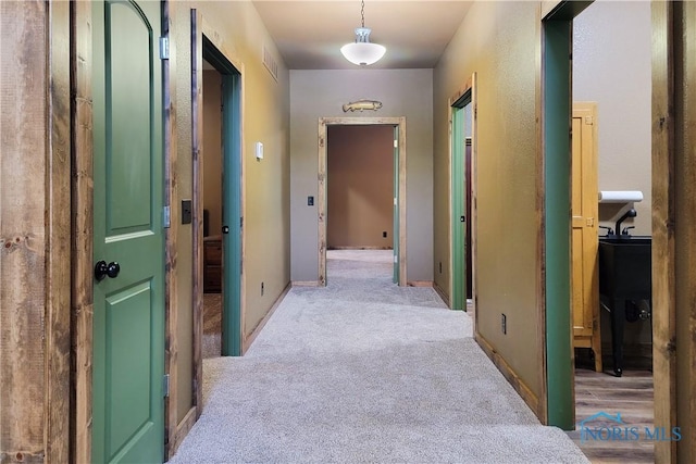 1673 Evan Dr, Defiance, OH 43512 - hall with carpet flooring and baseboards
