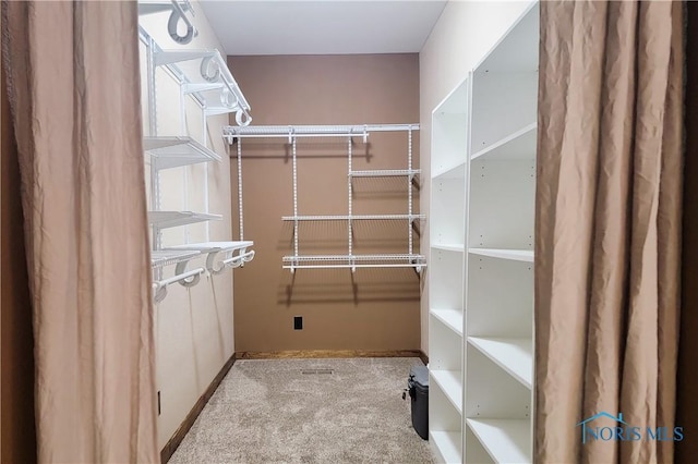 1673 Evan Dr, Defiance, OH 43512 - walk in closet featuring carpet flooring