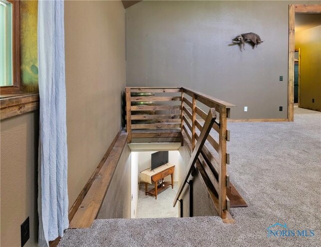 1673 Evan Dr, Defiance, OH 43512 - stairs featuring carpet floors