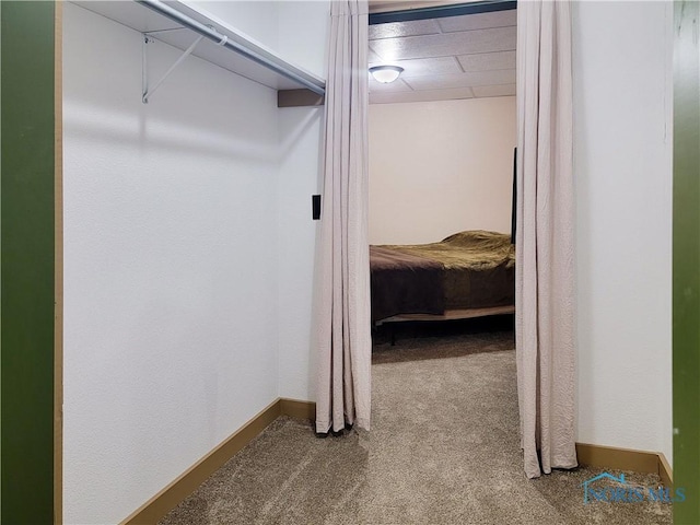 1673 Evan Dr, Defiance, OH 43512 - walk in closet with carpet floors