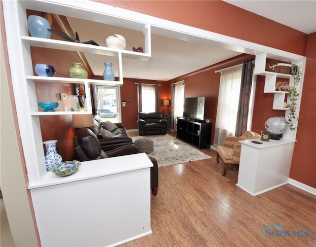 living room featuring wood finished floors