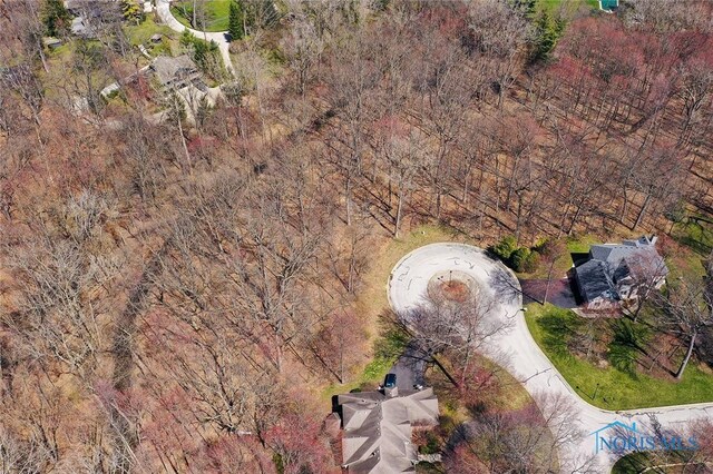 10700 Brexton Ct, Whitehouse, OH 43571 - photo 4