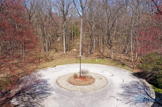 10700 Brexton Ct, Whitehouse, OH 43571 - photo 7