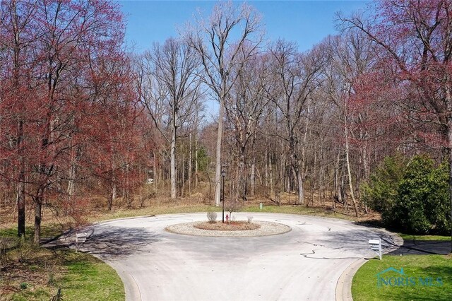 10700 Brexton Ct, Whitehouse, OH 43571 - photo 8