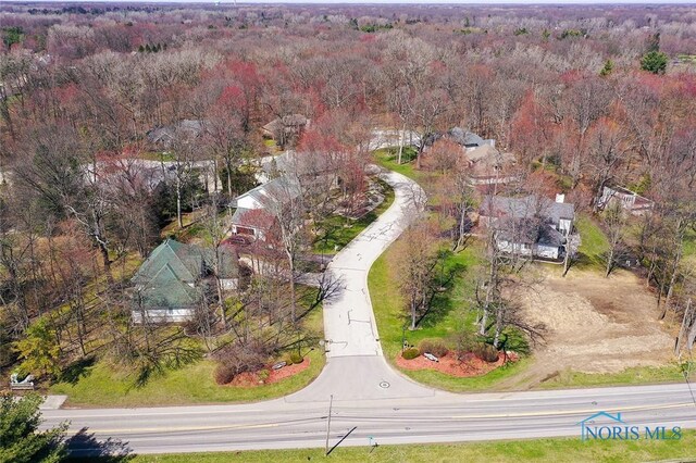 10700 Brexton Ct, Whitehouse, OH 43571 - photo 9