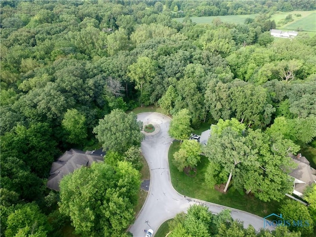 10700 Brexton Ct, Whitehouse, OH 43571 - photo 11