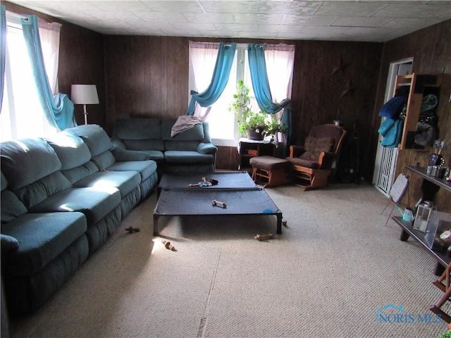 104 S Summit St, Edon, OH 43518 - carpeted living room featuring wooden walls