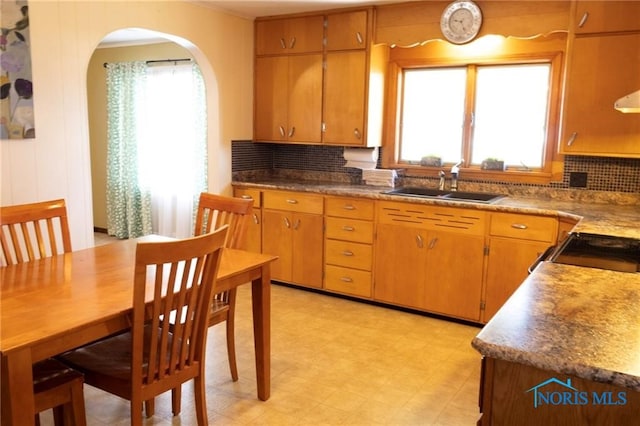 306 Lincoln St, Lyons, OH 43533 - kitchen featuring arched walkways, plenty of natural light, light floors, and a sink