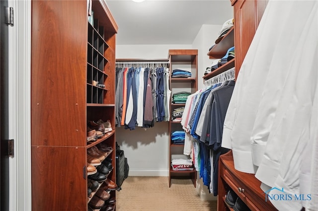 view of spacious closet