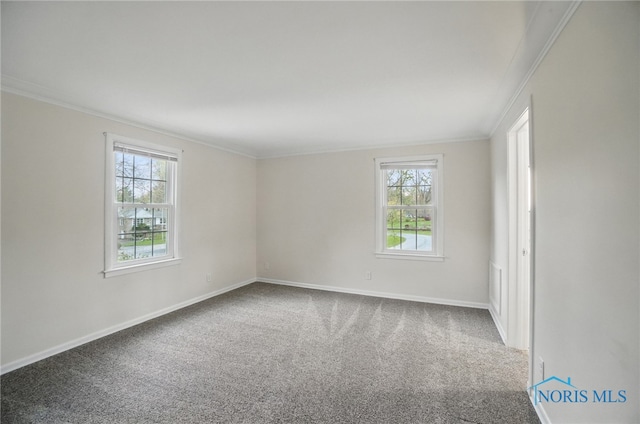 160 Winfield Dr, Bowling Green, OH 43402 - empty room featuring a wealth of natural light, crown molding, and carpet flooring