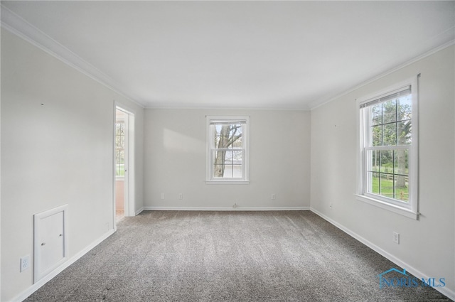 160 Winfield Dr, Bowling Green, OH 43402 - carpeted empty room featuring crown molding and baseboards