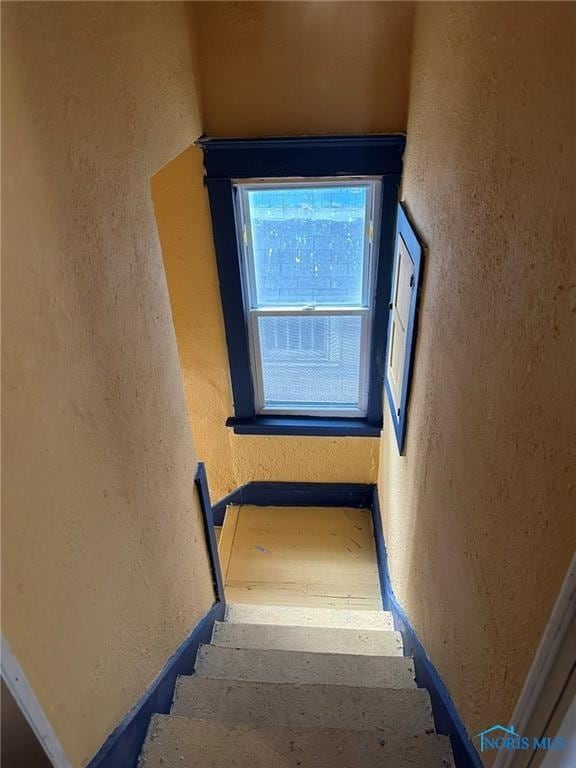 856 Lincoln Ave, Toledo, OH 43607 - photo 13