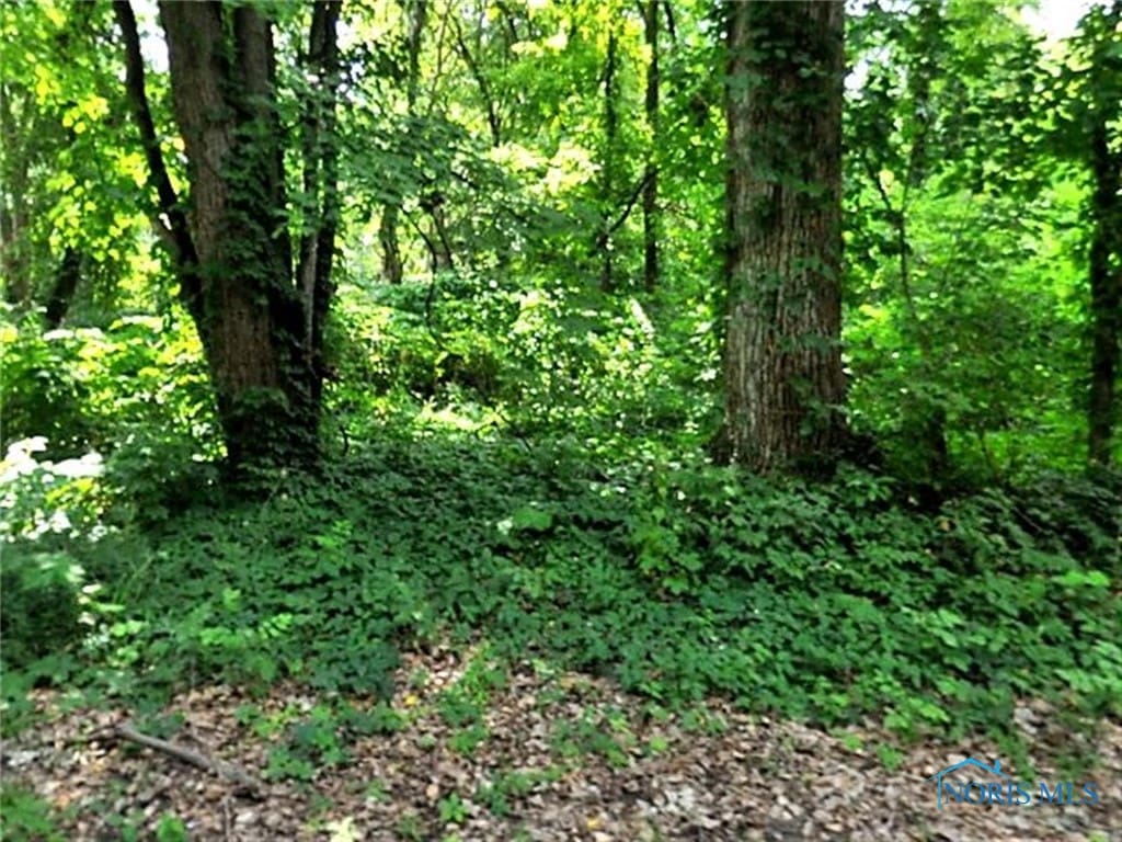 6043 Roan Rd, Sylvania, OH 43560 - photo 1