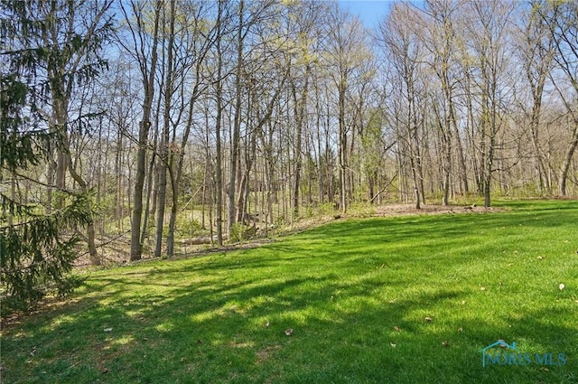 3862 Ravine Hollow Ct, Maumee, OH 43537 - view of yard featuring a forest view