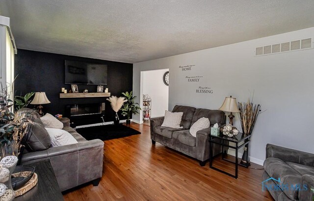 853 Circleview Dr, Toledo, OH 43615 - living room featuring a glass covered fireplace, a textured ceiling, wood finished floors, and visible vents