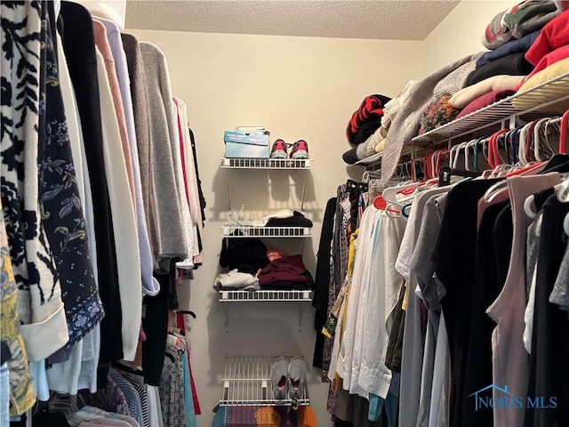 view of walk in closet