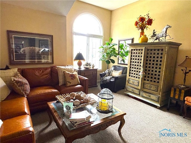 view of carpeted living room