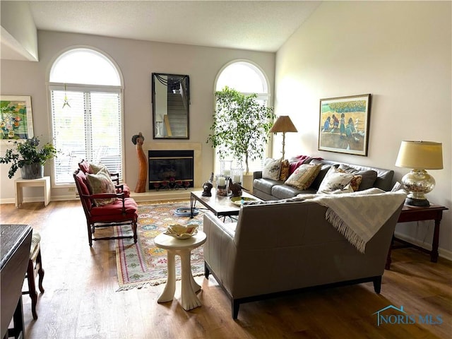 living area featuring a wealth of natural light, wood finished floors, and a glass covered fireplace