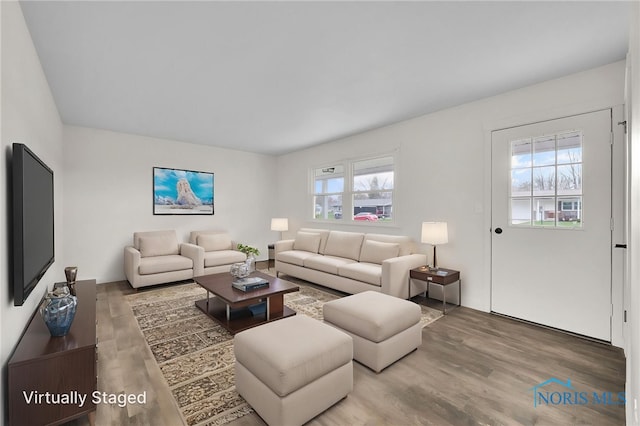 living area featuring wood finished floors