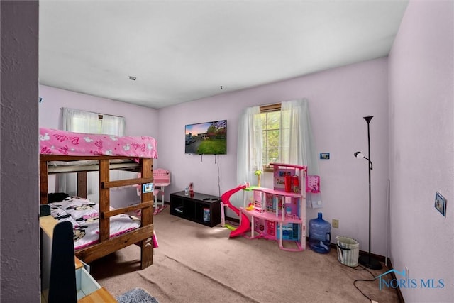 1705 Archwood Ln, Toledo, OH 43614 - bedroom with carpet flooring