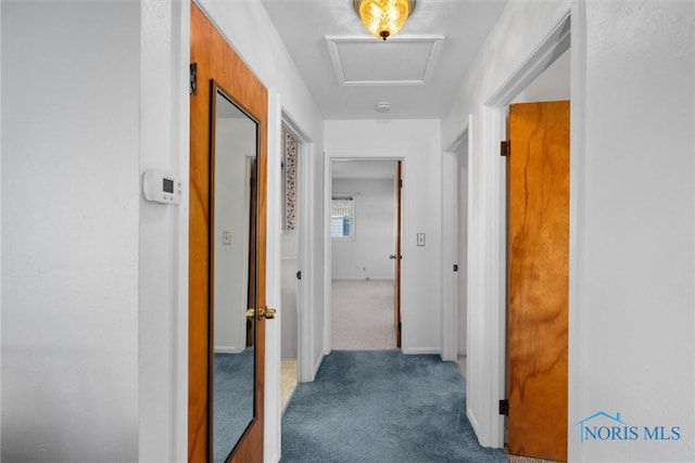 5148 Fern Dr, Toledo, OH 43613 - hall featuring carpet flooring