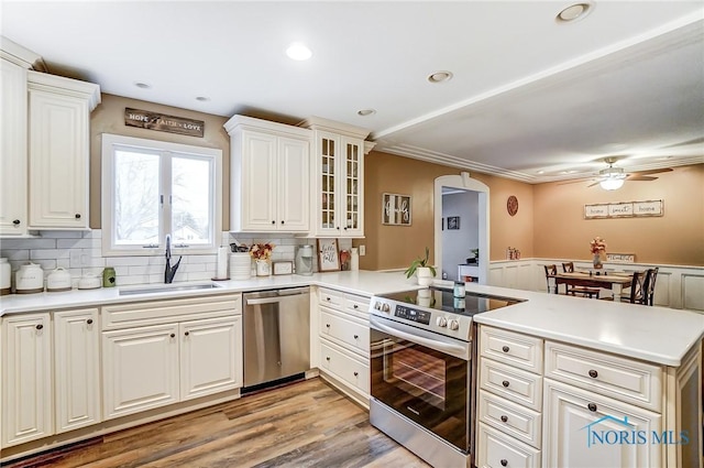kitchen featuring tasteful backsplash, a sink, appliances with stainless steel finishes, a peninsula, and a ceiling fan