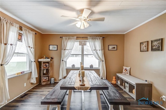 dining space featuring dark wood-style flooring, ceiling fan, plenty of natural light, and ornamental molding