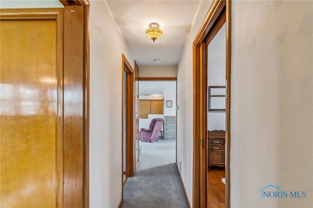 hall with carpet floors