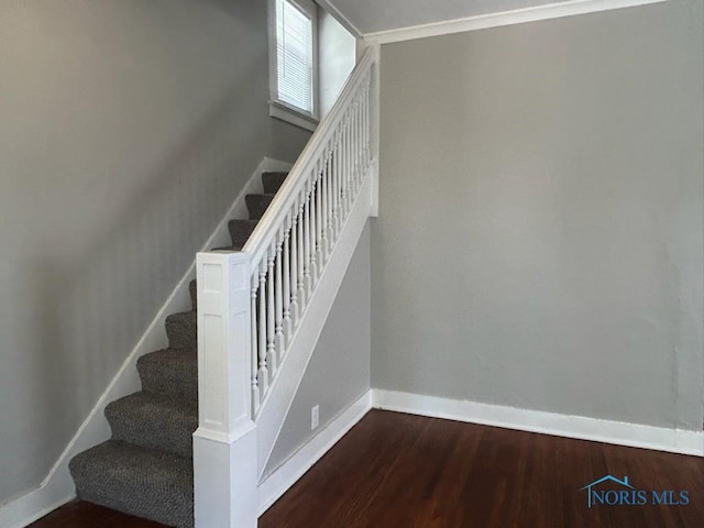 419 Spencer St, Toledo, OH 43609 - staircase with baseboards and wood finished floors