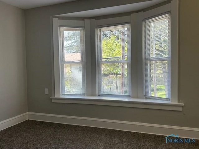 419 Spencer St, Toledo, OH 43609 - room details with carpet and baseboards