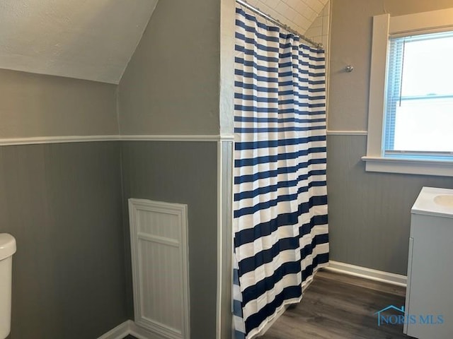 419 Spencer St, Toledo, OH 43609 - bathroom with vaulted ceiling, wood finished floors, wainscoting, vanity, and curtained shower