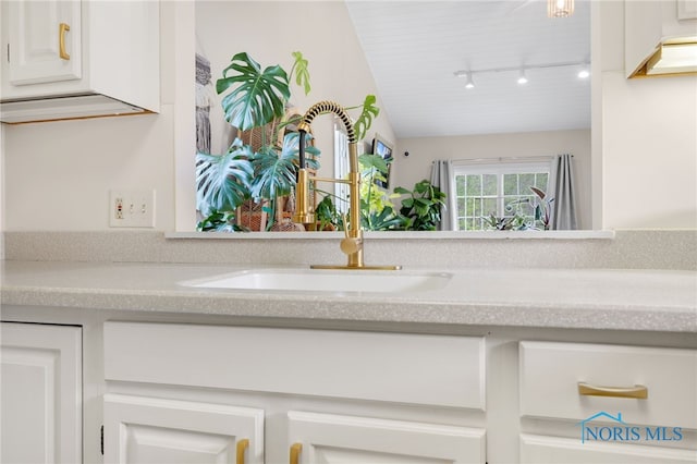 interior details with a sink and rail lighting