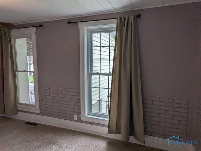 carpeted empty room with baseboards and a wealth of natural light