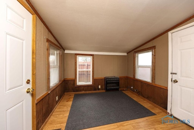 536 Edinborough Dr, Findlay, OH 45840 - foyer entrance featuring lofted ceiling, light wood-style floors, plenty of natural light, and wood walls