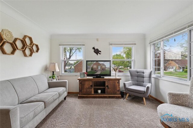 5583 304th St, Toledo, OH 43611 - carpeted living room with baseboards